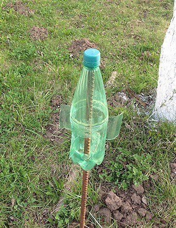 Отпугиватели из пластиковых бутылок для сада и огорода