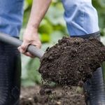 Почва: подготовка участка к весенним посадкам