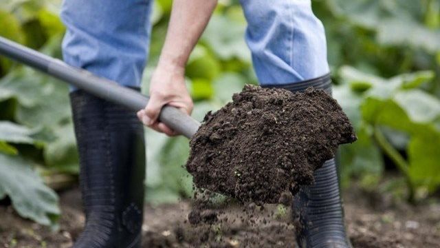 Почва: подготовка участка к весенним посадкам