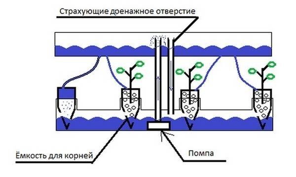 Система капельного полива гидропоника схема