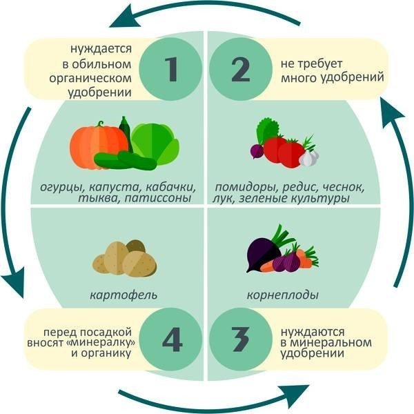 Схема севооборота овощных культур