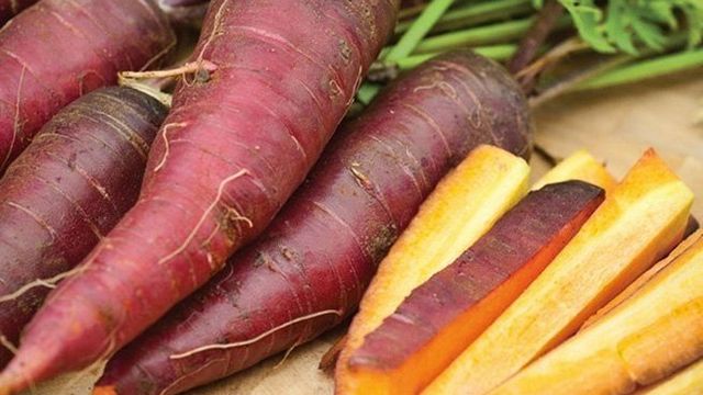 Фиолетовая, белая и желтая морковка, а также самые лучшие сорта моркови