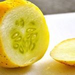 Как вырастить на даче необычные огурцы в виде лимона, особенности посадки и ухода
