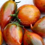 Красота и изысканный вкус: сорта томатов Желтая, Оранжевая и Черная сосульки