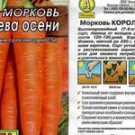 Морковь Королева осени: описание позднего сорта с отзывами и фото