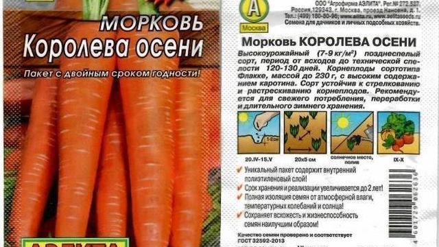 Морковь Королева осени: описание позднего сорта с отзывами и фото