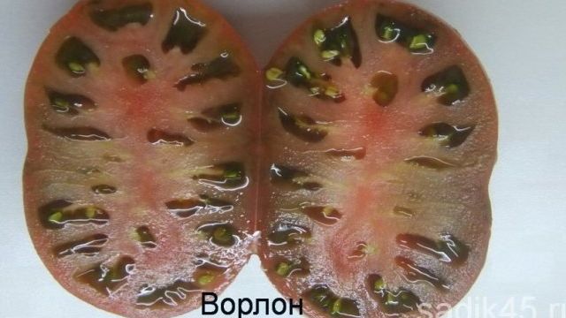 Очень редкий и не обычный томат — Ворлон: описание помидоров и советы по их выращиванию