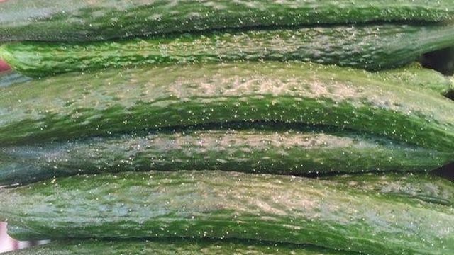 Огурцы Изумрудный поток: описание сорта, урожайность и выращивание, отзывы с фото