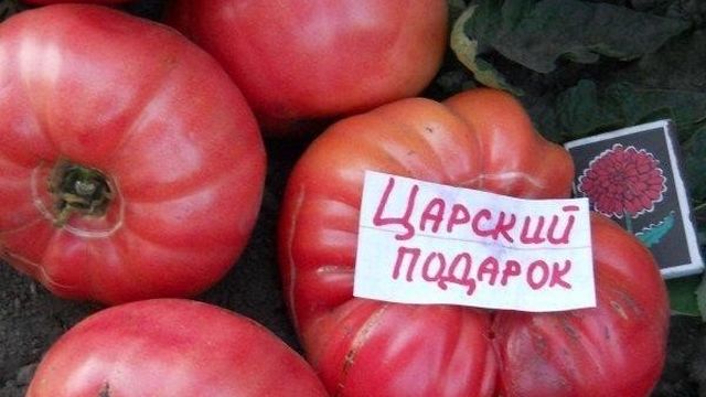Оригинальные плоды и особенный вкус — томат «Царский подарок»