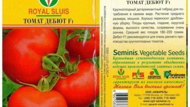 Сорт томата Дебют: описание куста и характеристика плодов, отзывы