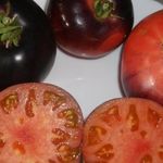 Сорт с прекрасным внешним видом — томат Голубая красавица