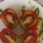 Стойкий и нетребовательный сорт с универсальным применением — томат Казачка