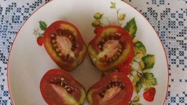 Стойкий и нетребовательный сорт с универсальным применением — томат Казачка