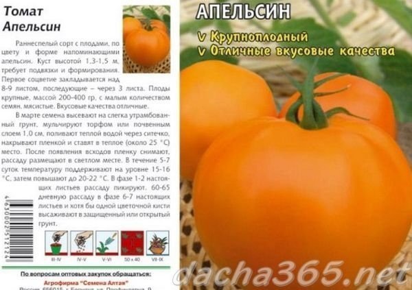 Томат оранжевый гигант русский огород