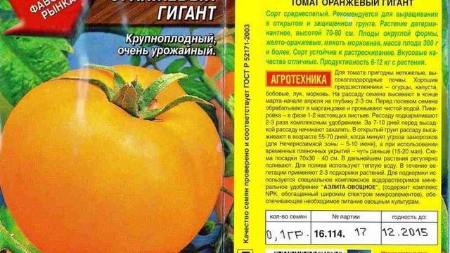Томат Оранжевый гигант: характеристика сорта, отзывы, урожайность