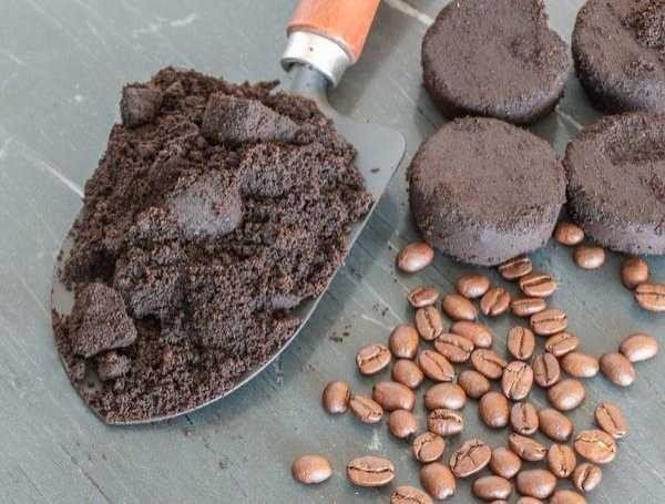 Производство какао порошка