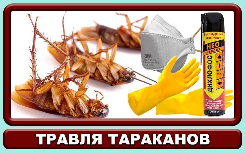 Дихлофос от тараканов без запаха
