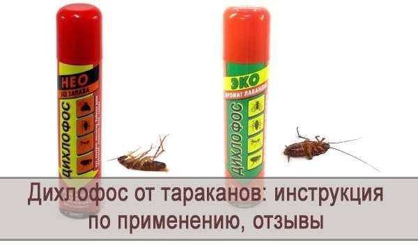 Эффективный дихлофос от тараканов