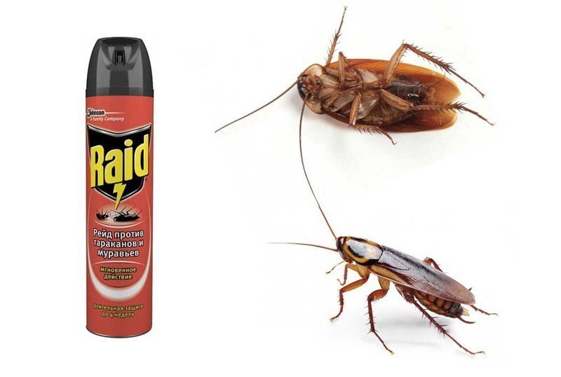 Лучшее средство от тараканов