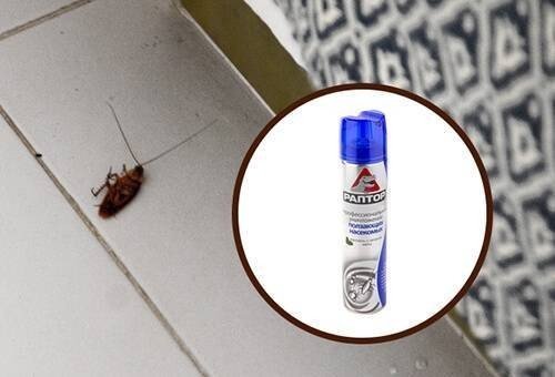 Средство от тараканов чистый дом
