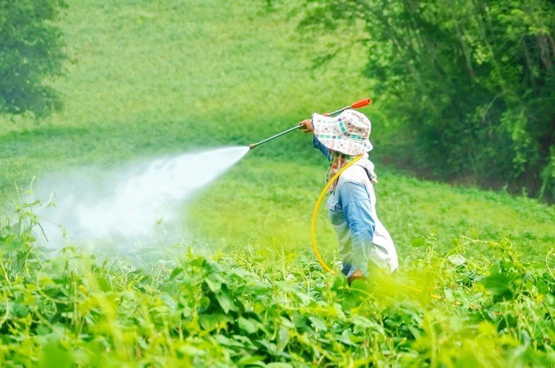 Работа с пестицидами минеральными удобрениями и