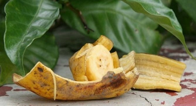 Высушенная кожура банана