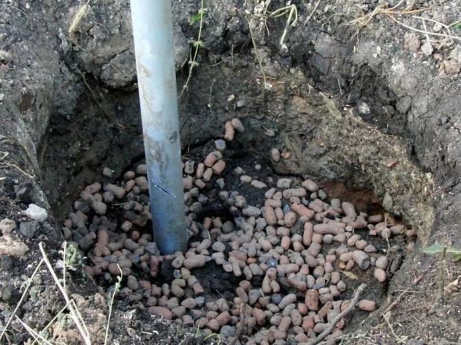 Обустройство винограда посаженного в яму