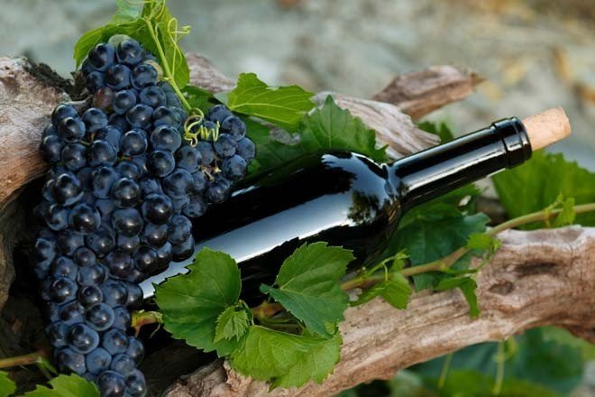 Виноград сорт кахети для вина