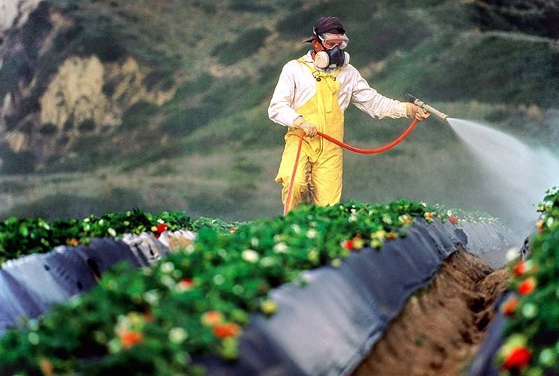 Костюм для обработки растений пестицидами