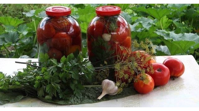 Засолка помидоров на зиму холодным способом — оригинальные идеи приготовления вкусной заготовки